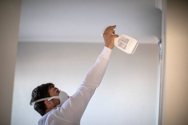 Best Mold Removal Process  in Norwalk, IA