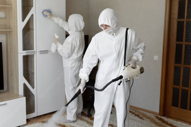 Mold Removal Process in Norwalk, IA