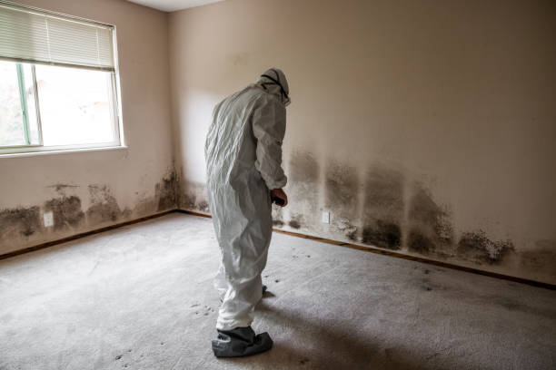 Best Crawl Space Mold Removal  in Norwalk, IA
